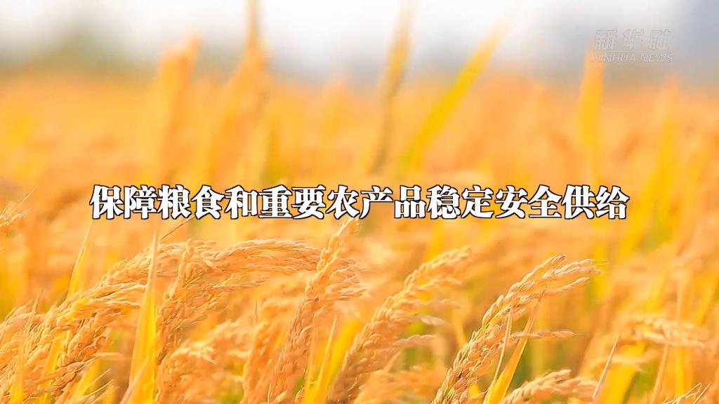 新华全媒 ｜从中央农村工作会议看2023年“三农”工作这么干(图2)