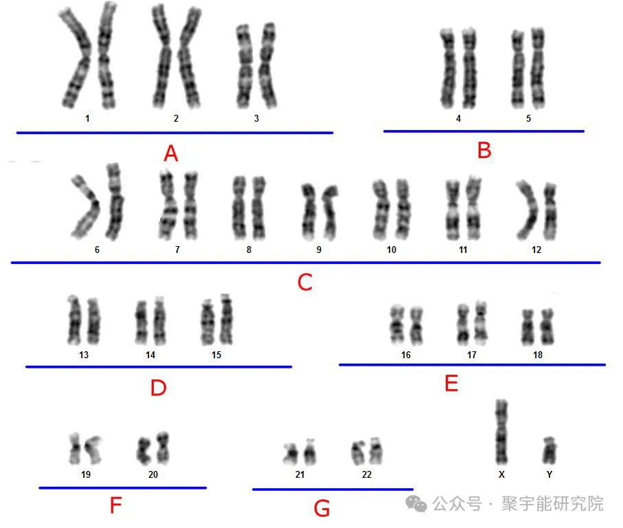 微信图片_20241231165908.jpg